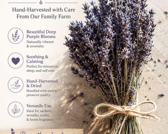 Lavender Bundle