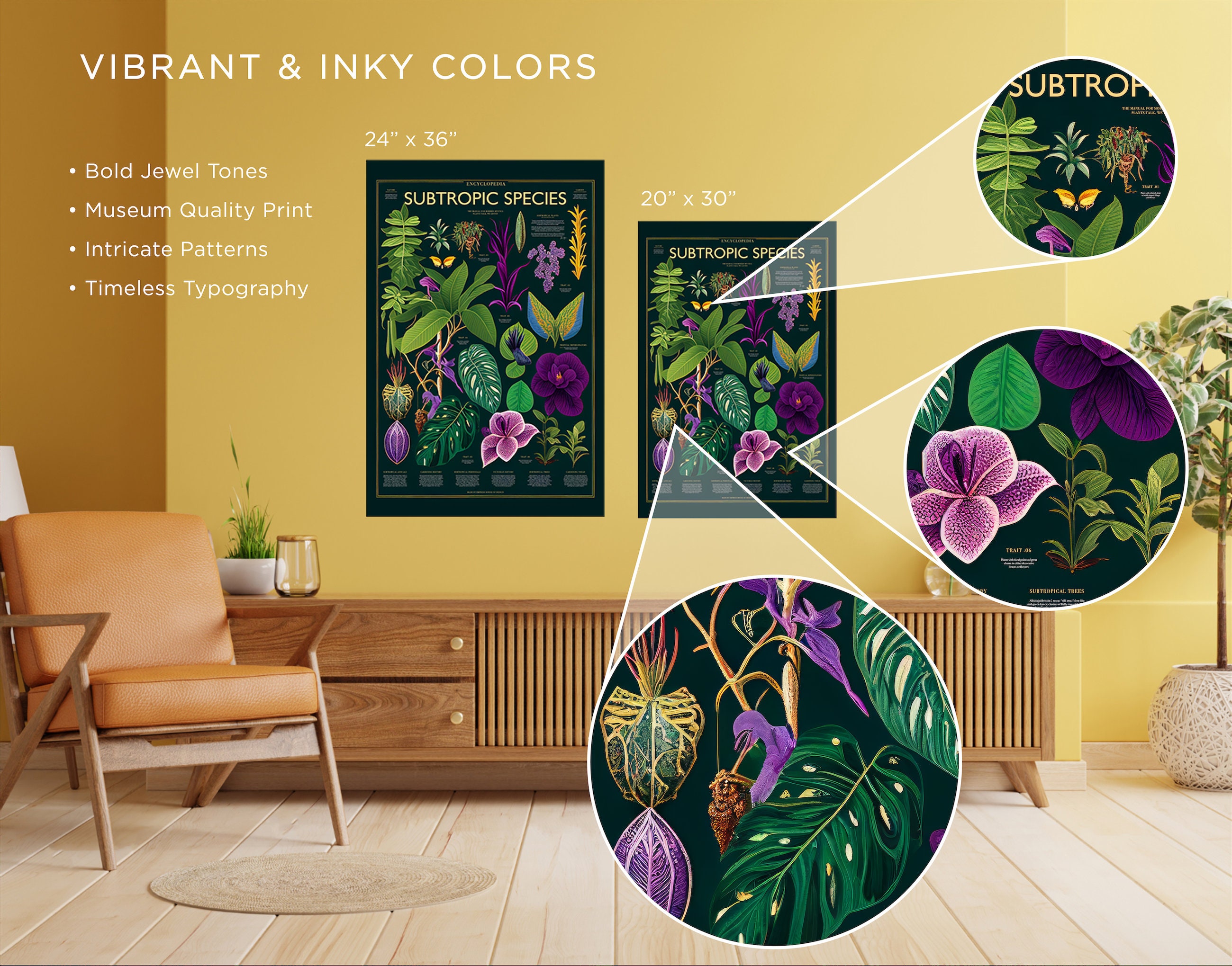Botanic Chart Subtropic Species Botanic Chart, English Botanical Chart, Rare ...
