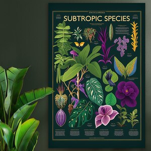 Gráfico botânico de espécies subtropicais, gráfico botânico inglês, pôster de planta educacional rara, pôster botânico vintage, impressão de planta de casa tropical
