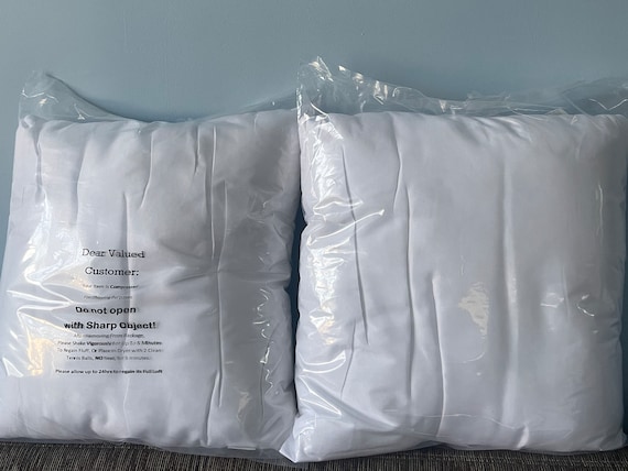 Pillow Inserts 18 X 18 Inch, Decoration Pillow, Pillow Insert Form