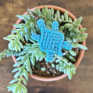 May include: A blue crocheted turtle keyring hanging from a potted succulent plant.