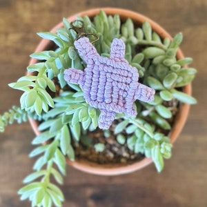 May include: A purple crocheted turtle keychain hanging in a pot of green succulents.