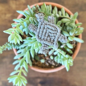 Llavero tortuga macramé gris, llavero tortuga marina, llavero tortuga macramé, animal macramé, llavero animal marino tropical, tirador de cremallera