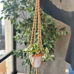 May include: A macrame plant hanger with a white and brown patterned pot and a green plant hanging from it.
