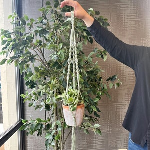 Green Sun Catcher Macrame Plant Hanger, Macrame planter with sun-catching beads, Modern boho plant decor, Large plant pot holder with tassel
