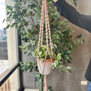 May include: A pink macrame plant hanger with a white and brown striped planter and a green plant with white variegation.
