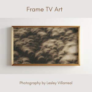 Könnte beinhalten: Ein rechteckiges Kunstwerk mit goldenem Rahmen. Das sepiafarbene Bild zeigt eine natürliche Szene, möglicherweise Blätter oder Schatten. Der Text "Frame TV Art" steht oben und "Photography by Lesley Villarreal" unten im Bild.
