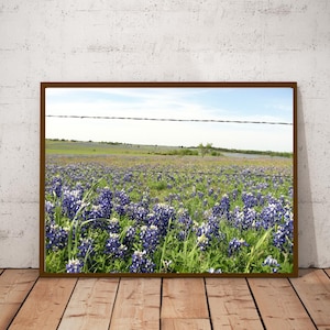 PRINTABLE Wall Art, Bluebonnets Wall Decor, Printable Texas Art, Texas Wall Decor, Bluebonnet Digital Print, Downloadable Bluebonnet Print
