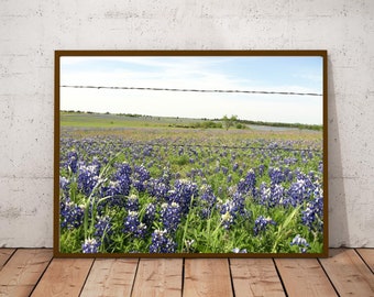 Druckbare Wandkunst, Bluebonnets Wanddekoration, druckbare Texas Art, Texas Wanddekoration, Blaubonnet Digitaldruck, Downloadable Bluebonnet Print