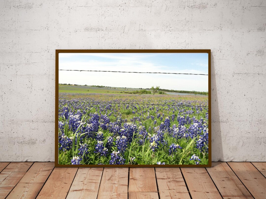 PRINTABLE Wall Art, Wall Decor, Printable Texas Art, Texas
