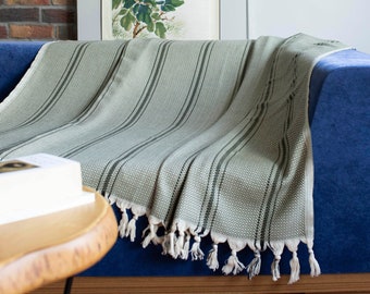 May include: A green and white striped throw blanket with fringe on a blue couch. The blanket is folded and draped over the couch. A framed painting of pink flowers and a bird is hanging on the wall behind the couch.