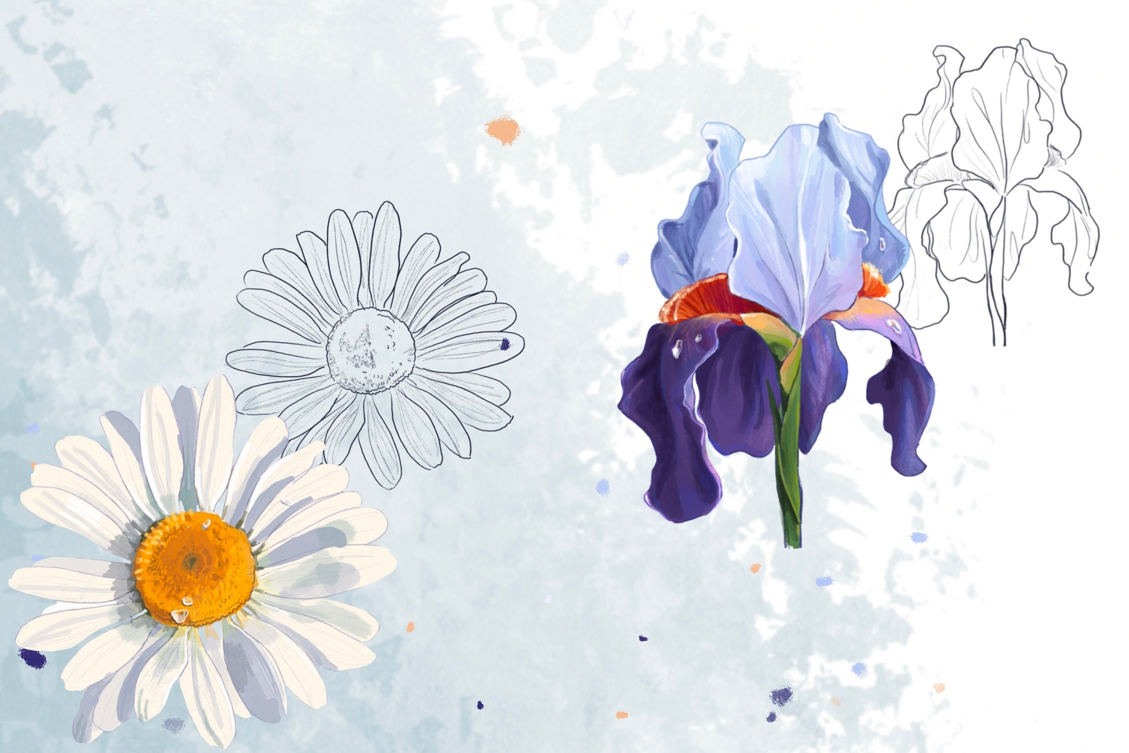 10 Procreate Flower Stamps | Procreate Flower Stamps Floral Procreate ...