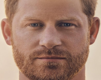PRINCE HARRY Spare