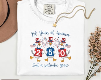 Retro Silly Goose America 250th Anniversary Shirt, USA Fourth of July Shirt,  Patriotic 4th of July Shirt, USA Birthday Shirt
