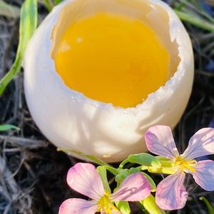 May include: A cracked white eggshell with a bright yellow yolk inside, surrounded by delicate pink and purple flowers.