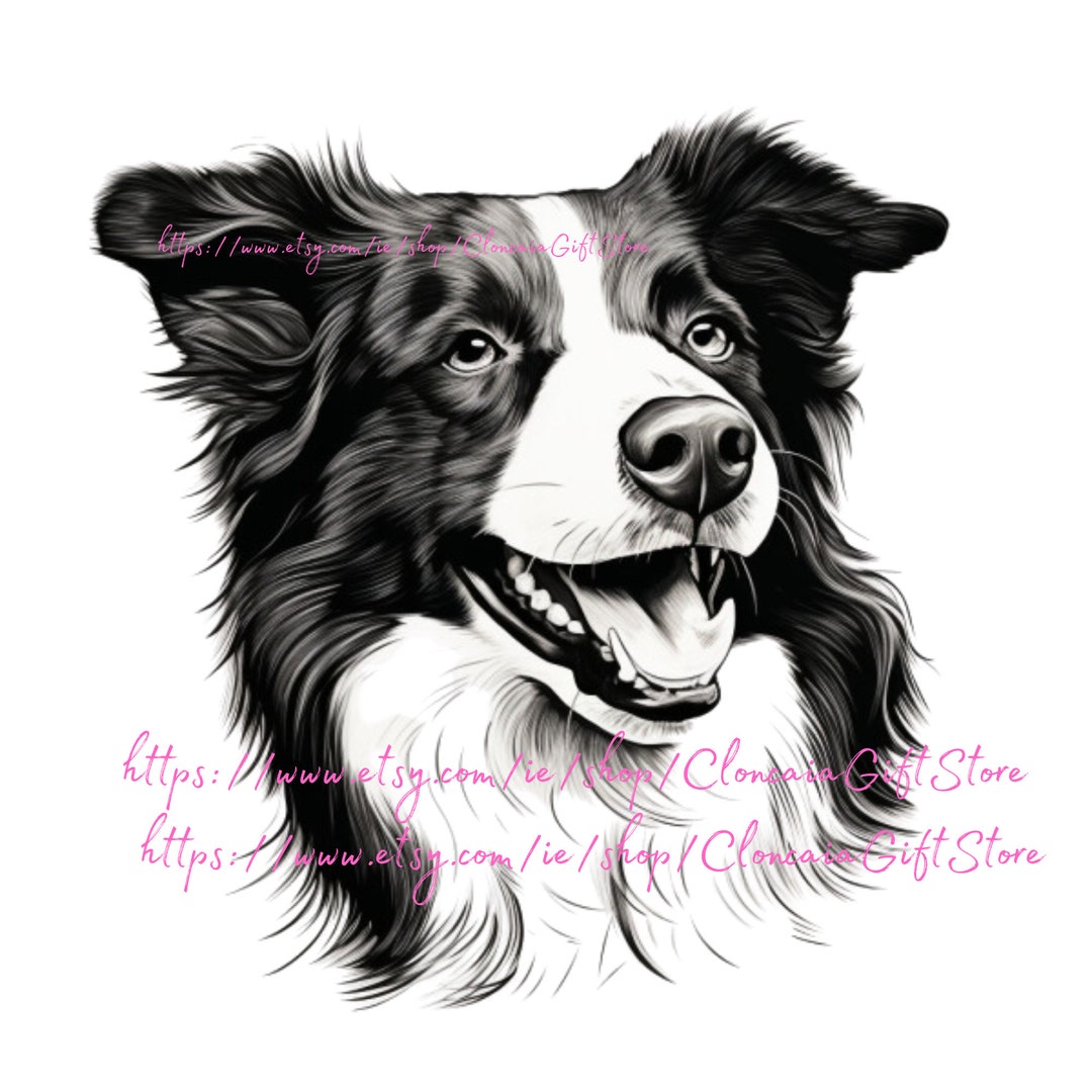 Border Collie Png Border Collie Image Border Collie Print - Etsy