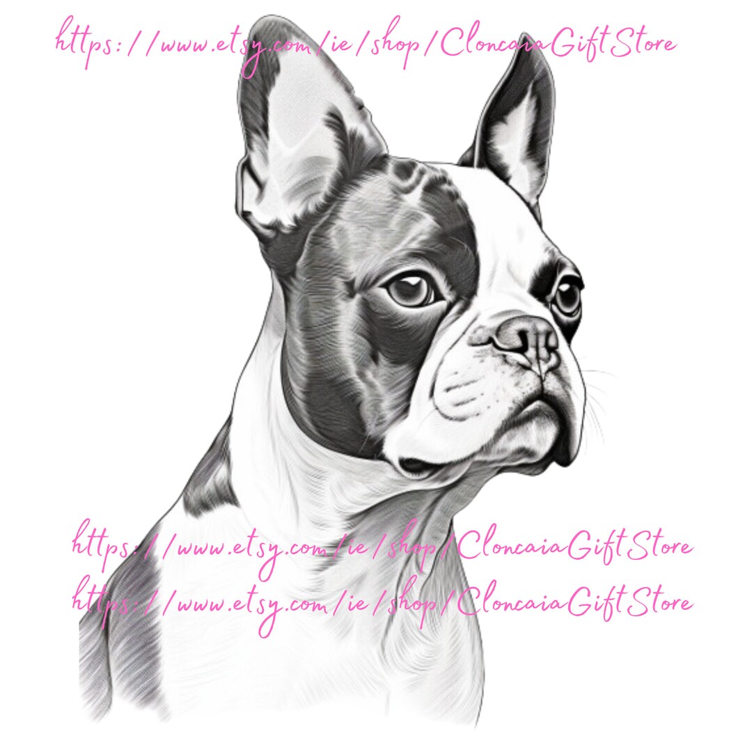 Boston Terrier Face Boston Terrier Png Boston Terrier Art Boston ...