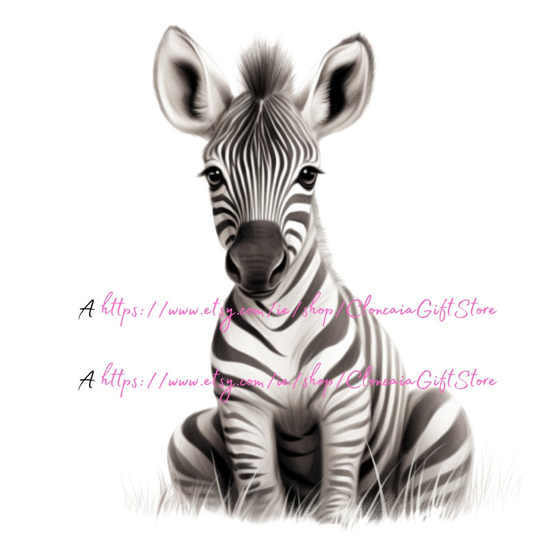 Baby Zebra Png Baby Zebra Printable Baby Zebra Clipart - Etsy