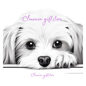 Maltese dog clipart• Maltese dog head • Maltese dog cut files • Maltese dog vector • Maltese dog illustration