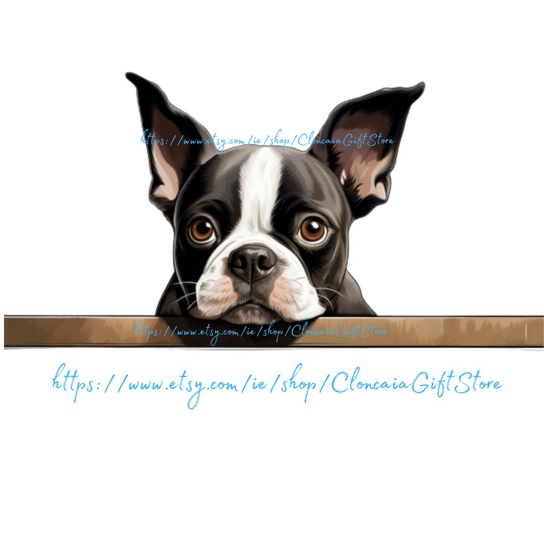 Boston Terrier Face Boston Terrier Png Boston Terrier Art Boston ...