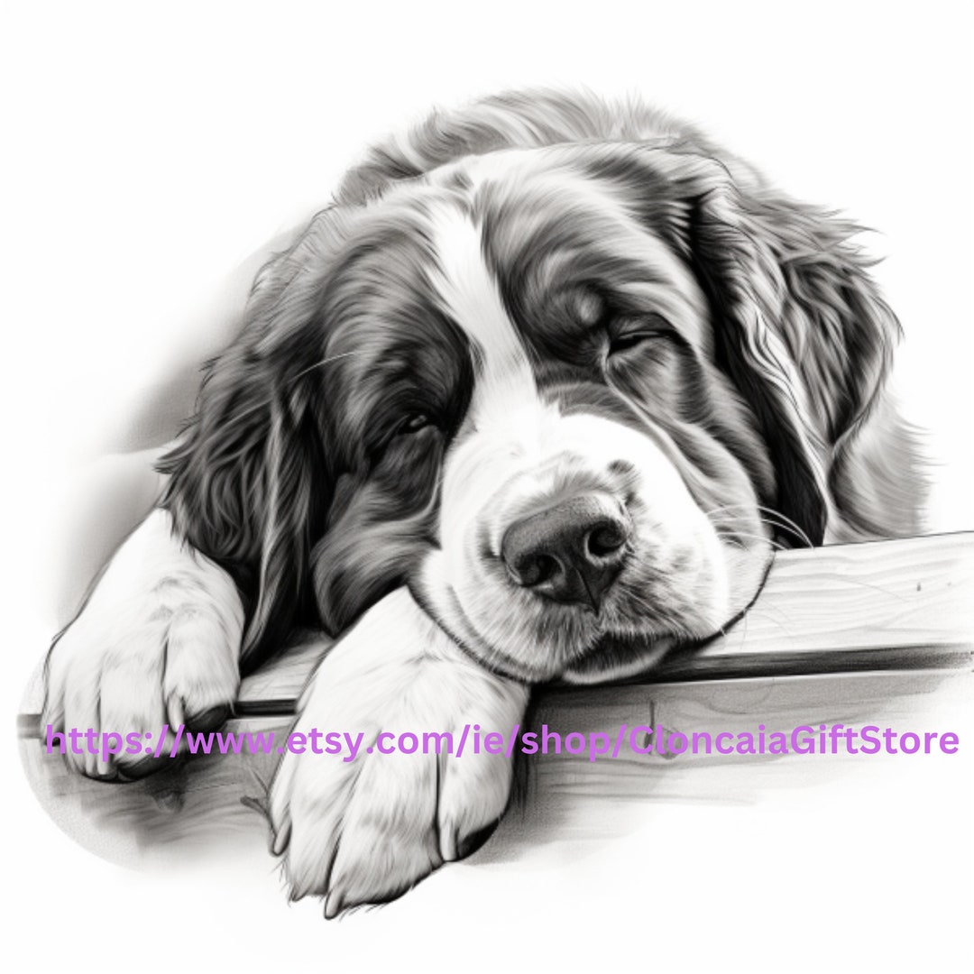 Saint Bernard PNG Saint Bernard Print Saint Bernard Design Digital Download Digital Download ...
