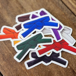 May include: A set of nine colorful martial arts belt stickers. The stickers are in the colors of the traditional belt ranks: white, yellow, orange, green, blue, purple, brown, red, and black.