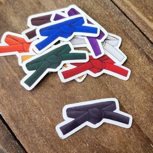 May include: A set of colorful martial arts belt stickers. The stickers feature different colored belts tied in a knot, including black, blue, green, red, orange, purple, white, and brown.