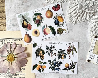 May include: Two sticker sheets with vintage illustrations of fruits and berries. The first sheet features pears, peaches, plums, and gourds. The second sheet features olives, berries, and citrus fruits. The sticker sheets are white with black text that reads "Sticker sheet" and "@murasaki.memeri".