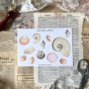 Foglio di adesivi - Conchiglie / journaling / planner / scrapbooking / effimeri / diario spazzatura / posta ordinaria / vintage
