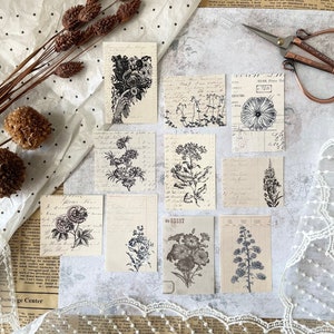 Conjunto de cartões de registro no diário - flores vintage | 10 peças | Coisas efêmeras | planejador | álbum de recortes | vintage | Etiqueta | Diário lixo