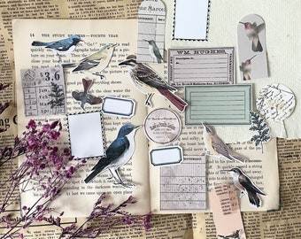 Ephemera set - bird and label | 21 pieces | vintage book | journaling | junk journal | planner | mm-14 | scrapbooking | cut outs