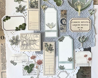 Ephemera pieces - vintage flowers | set of 24 | journaling | planner | scrapbooking | ephemera | Label | Junk journal | Cut outs