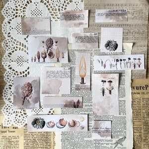 Ephemera set - stained page | 14 pieces | vintage book | journaling | planner | scrapbooking | ephemera | Label | Junk journal