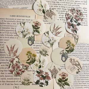Adesivi circolari - Fiori vintage / 11 pezzi / libro vintage / journaling / planner / scrapbooking / effimeri / diario spazzatura / posta ordinaria
