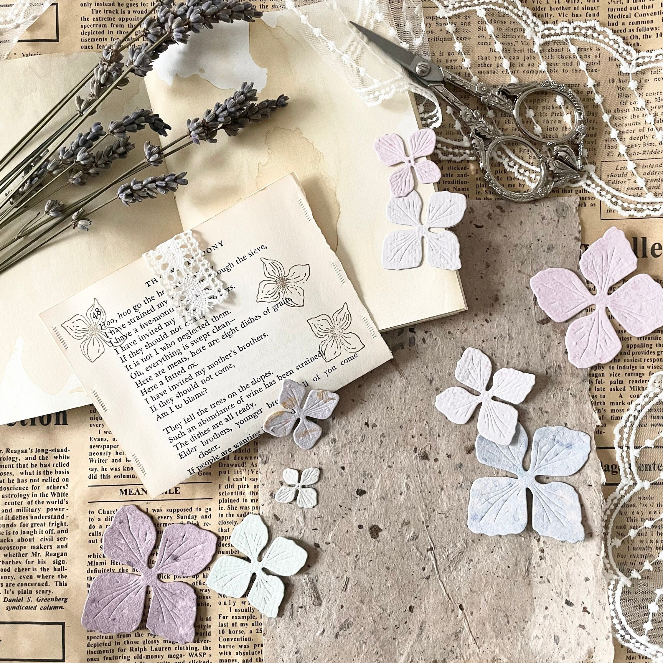 Sizzix Embossing Folder Sizzix 3D Embossing Map - Bloemenrollen | Textuur En Reliëf Voor Kaarten & Knutselen Sizzix Dies Big Shot