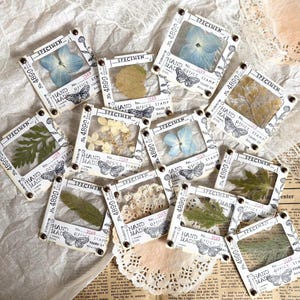 Objetos artesanais | Slide de espécime vintage | Flor seca | Diário | Diário de sucata | Diário de arte