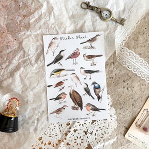 Sticker Bogen - Vintage Vogel Illustration | Journaling | Planer | Einklebeband | Ephemera | Junk Journal