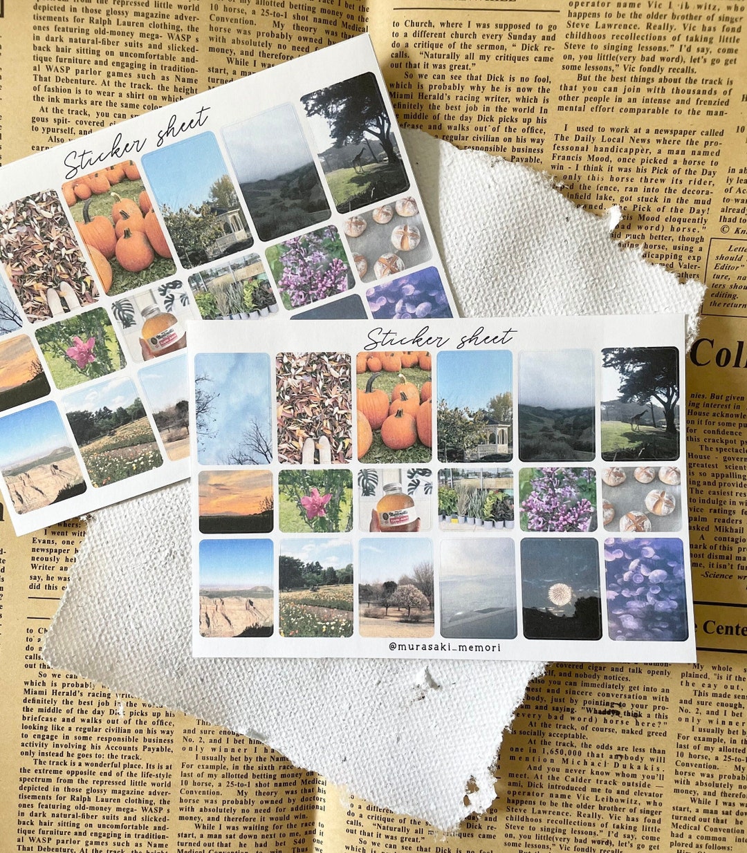 Sticker Sheet Photo Album Photo Sticker Journaling - Etsy