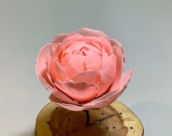 May include: A single, light pink peony flower with multiple layers of petals. The flower is displayed on a wooden base.