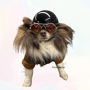 May include: A small dog wearing a black motorcycle helmet and round sunglasses. The dog is also wearing a brown jacket with a tan collar. The dog has brown and white fur and is looking directly at the camera.