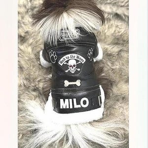 May include: A black leather dog jacket with white trim, featuring the name "MILO" and the phrase "Bad to the Bone" with a skull and crossbones design. The jacket has paw prints and a bone graphic.