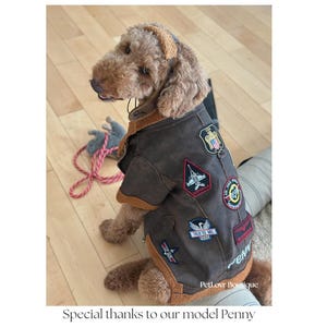 May include: A brown dog wearing a brown aviator jacket with multiple patches. The jacket has a faux fur collar and trim. The patches include text and images of airplanes. The text "Talk to me Goose" is visible on one patch. The text "PetLovr Boutique" is at the bottom.