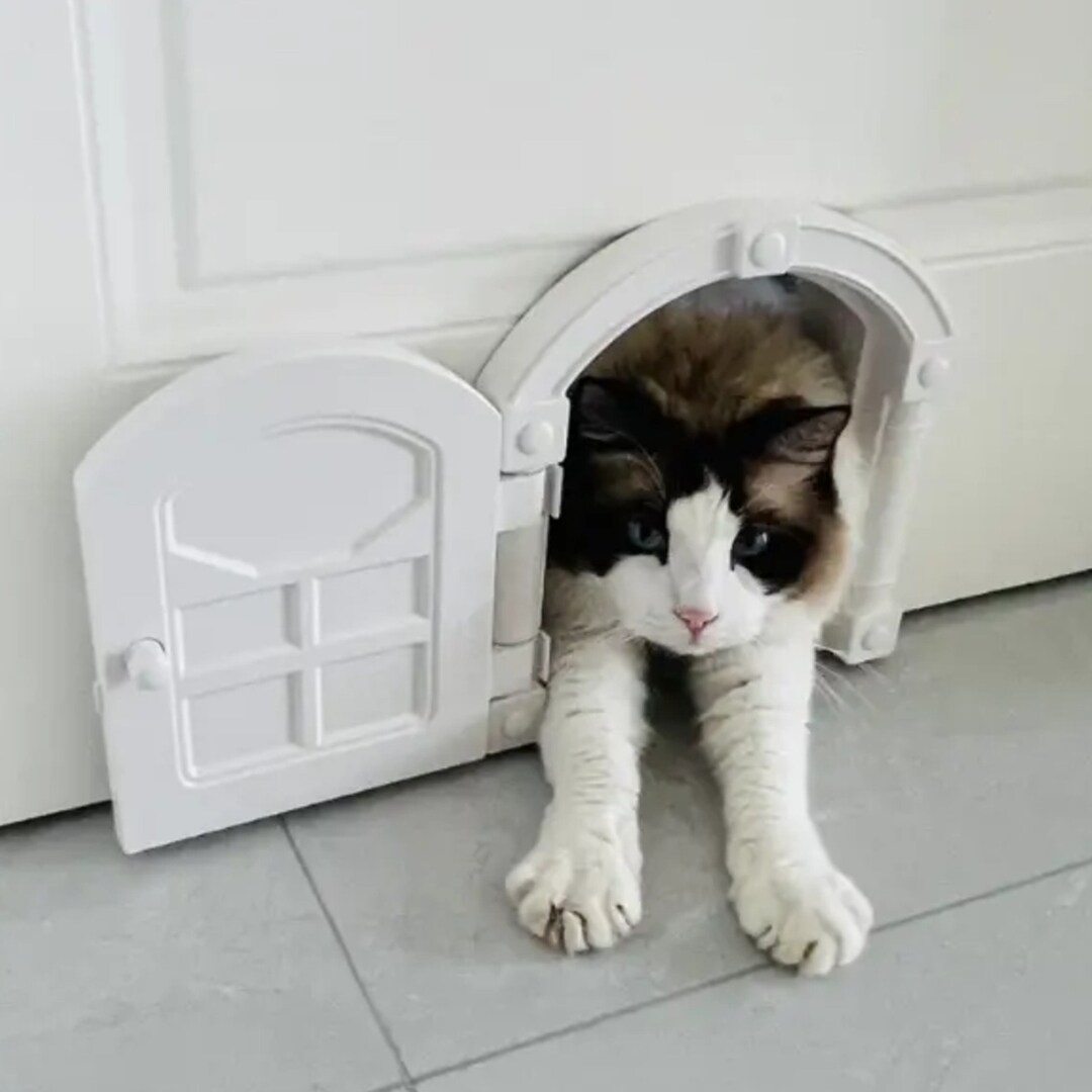 Kitty Pass Interior Door, Platopened Cat Door, Cat Pass Door, Pet