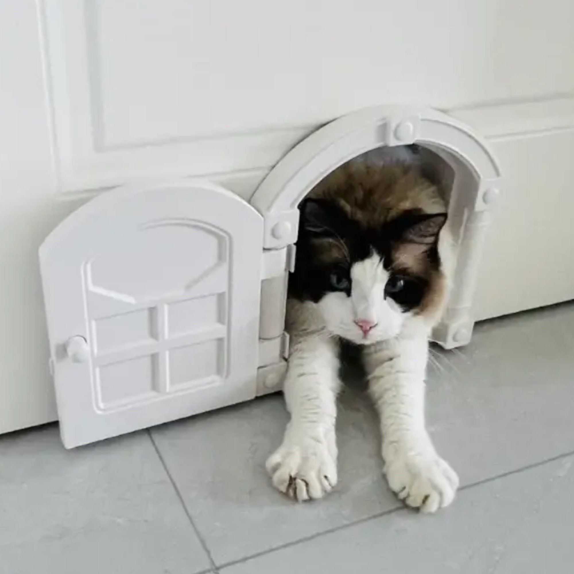 Kitty Pass Interior Door, Platopened Cat Door, Cat Pass Door, Pet