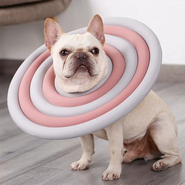 Elizabethan Collar Etsy