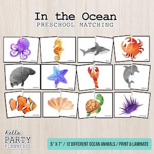 Jeu d&#39;association d&#39;animaux marins : activité préscolaire aquarelle (téléchargement numérique)
