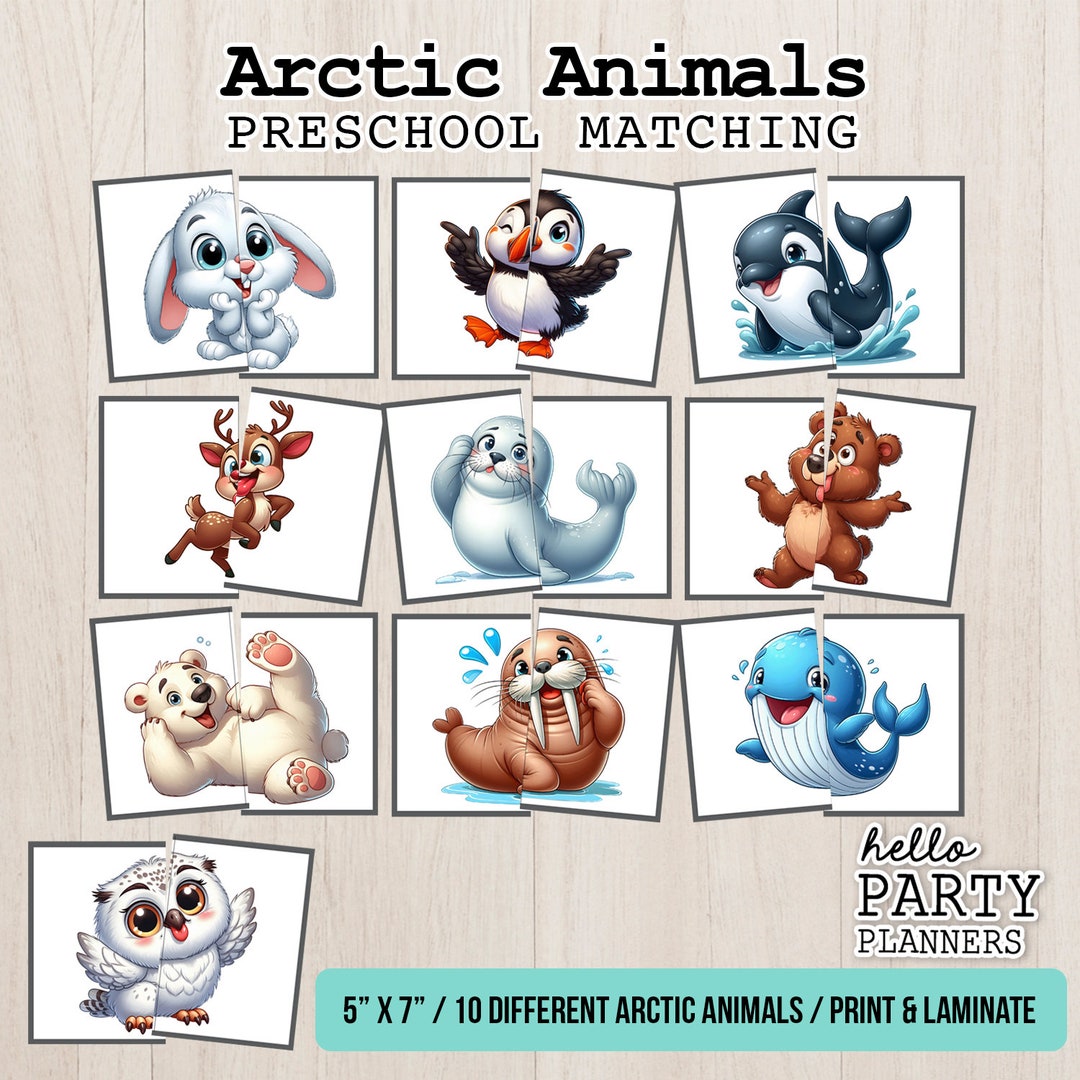 Arctic Animals Matching Game: Preschool Printable Activity (PDF) - Etsy