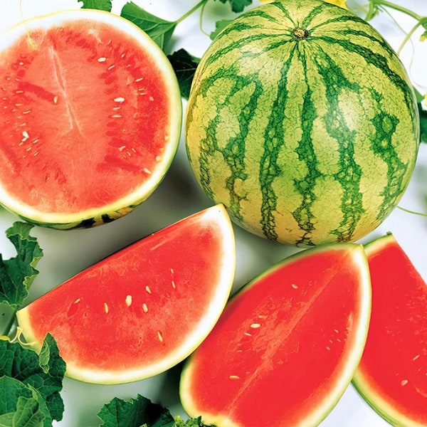 Juicy Red Watermelon glow 20 seeds sweet Juicy Rare Organic Odd Vegetable fruit Heirloom