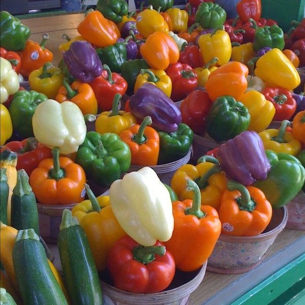 50 World's brightest Wonder bell Pepper GMO Organic Seed Red Yellow green purple bell