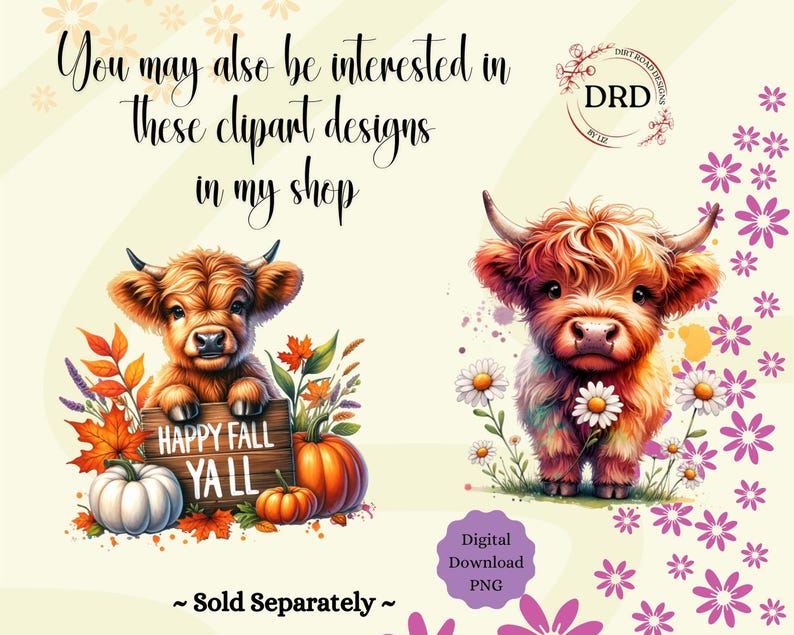 May include: Two digital clipart images of Highland cows. The first image features a brown Highland cow with a sign that says "Happy Fall Y'all" surrounded by fall leaves, pumpkins, and gourds. The second image features a red and white Highland cow with white daisies around it.